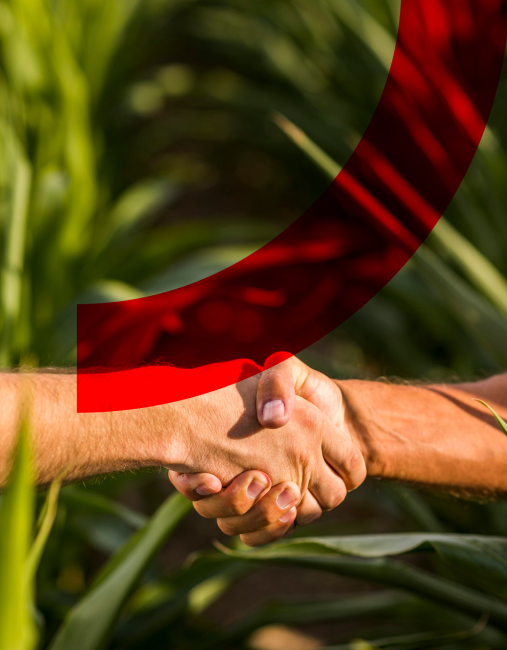 Farmer shaking hands
