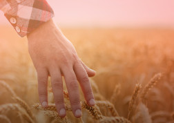 manitou head jobs agriculture cereals