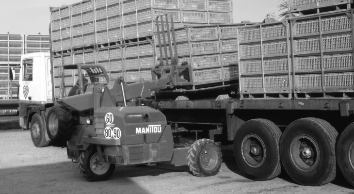 vignette_timeline_tmt_1995_manitou