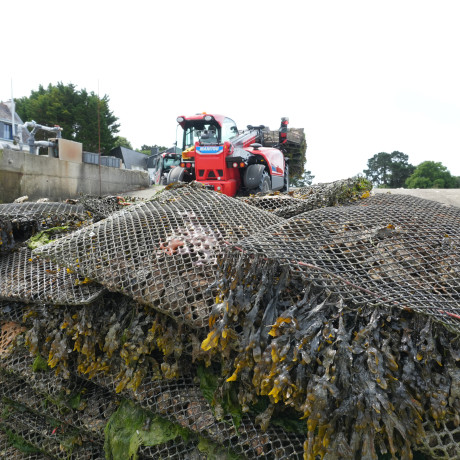 MLT625E ostreiculture