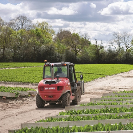 manitou machines mh25 4T buggie application market gardening